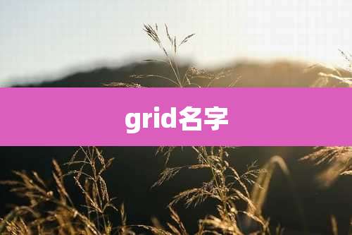 grid名字