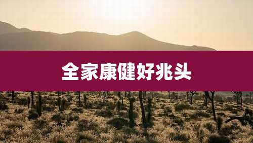 全家康健好兆头