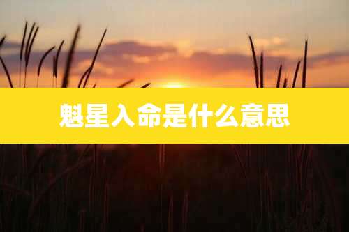 魁星入命是什么意思