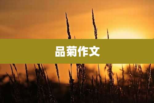 品菊作文