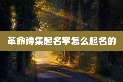 革命诗集起名字怎么起名的