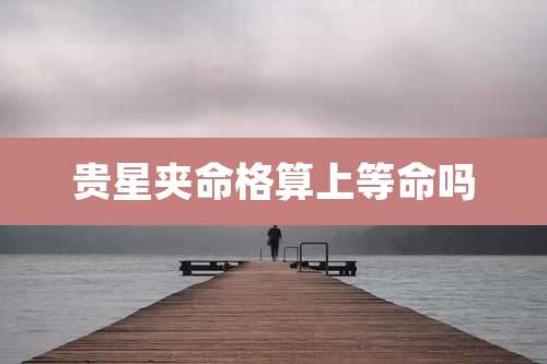 贵星夹命格算上等命吗