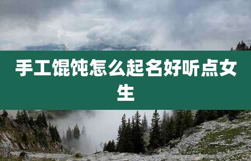 手工馄饨怎么起名好听点女生