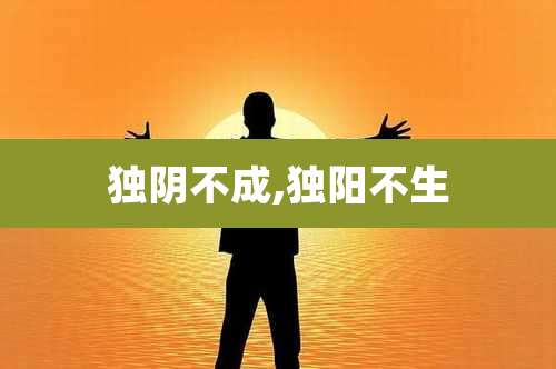 独阴不成,独阳不生