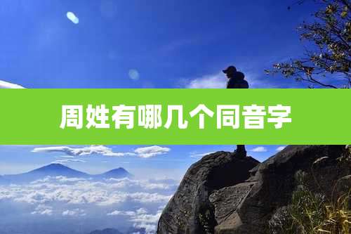 周姓有哪几个同音字