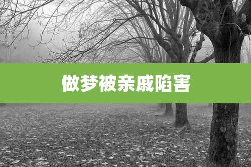 做梦被亲戚陷害