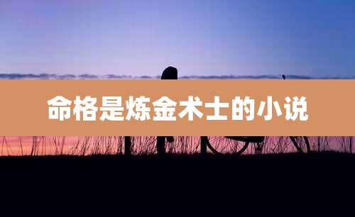 命格是炼金术士的小说