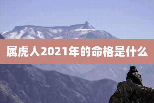 属虎人2021年的命格是什么