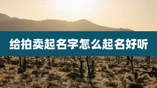 给拍卖起名字怎么起名好听