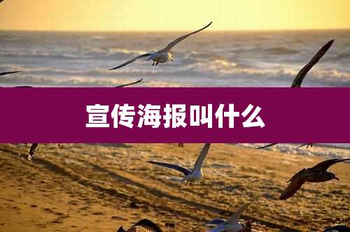 宣传海报叫什么