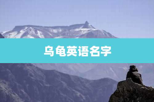 乌龟英语名字