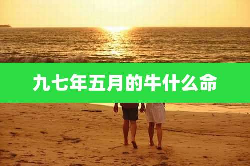 九七年五月的牛什么命