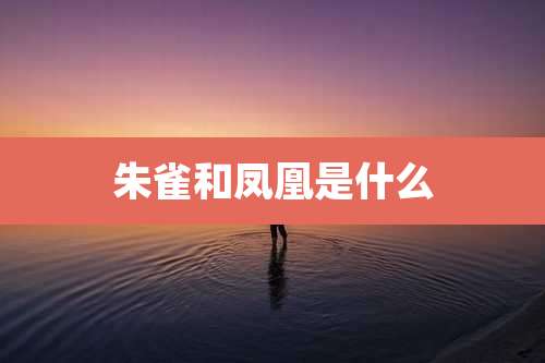 朱雀和凤凰是什么