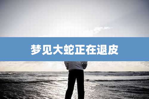 梦见大蛇正在退皮