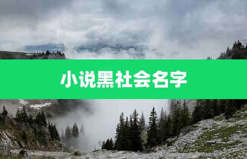 小说黑社会名字