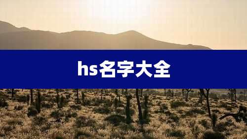 hs名字大全