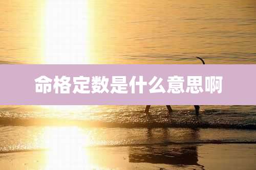 命格定数是什么意思啊