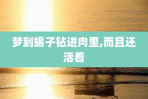 梦到蝎子钻进肉里,而且还活着