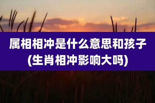 属相相冲是什么意思和孩子(生肖相冲影响大吗)