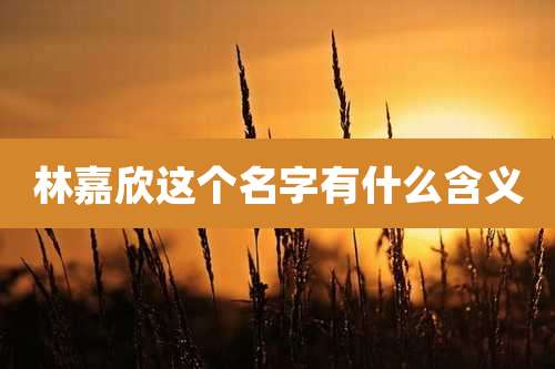 林嘉欣这个名字有什么含义
