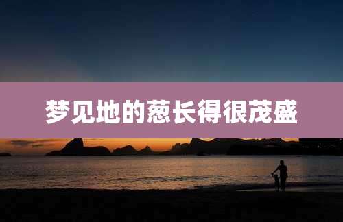 梦见地的葱长得很茂盛