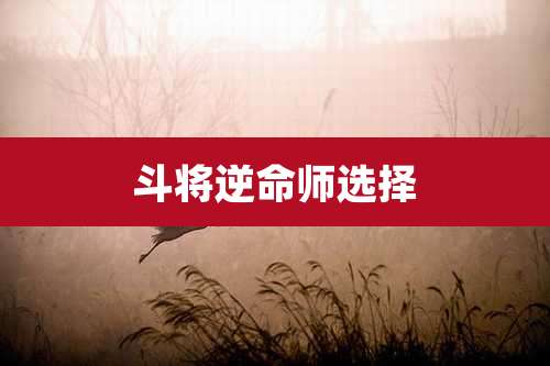 斗将逆命师选择