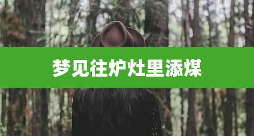 梦见往炉灶里添煤