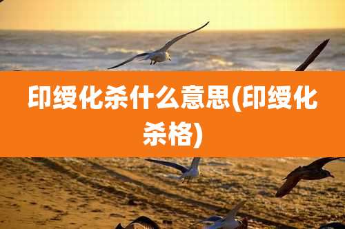 印绶化杀什么意思(印绶化杀格)
