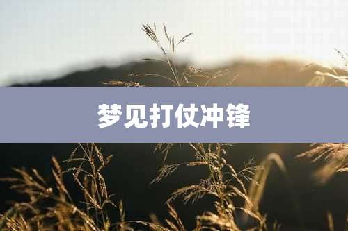 梦见打仗冲锋