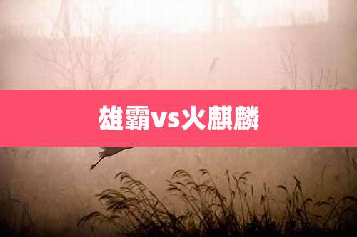 雄霸vs火麒麟