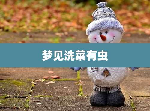 梦见洗菜有虫