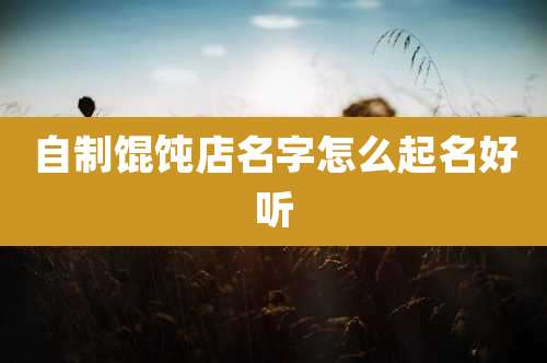 自制馄饨店名字怎么起名好听