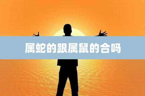 属蛇的跟属鼠的合吗