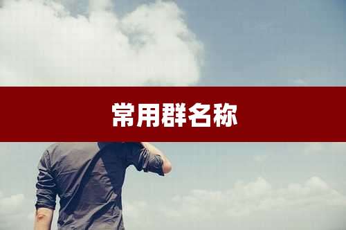 常用群名称