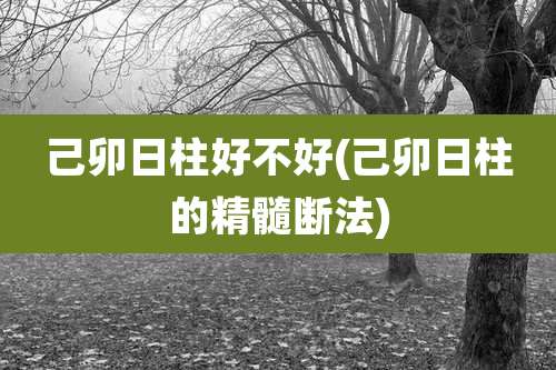 己卯日柱好不好(己卯日柱的精髓断法)