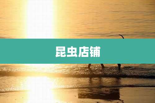 昆虫店铺