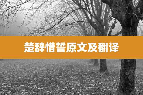 楚辞惜誓原文及翻译