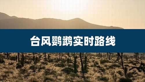 台风鹦鹉实时路线