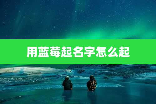 用蓝莓起名字怎么起