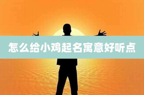 怎么给小鸡起名寓意好听点