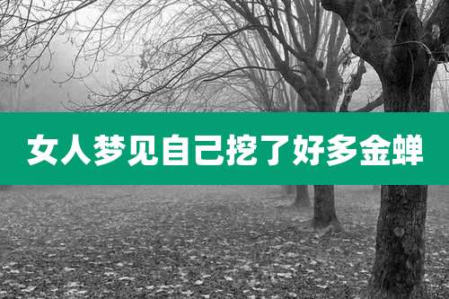 女人梦见自己挖了好多金蝉