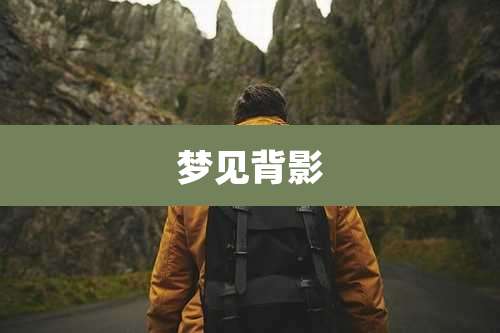 梦见背影