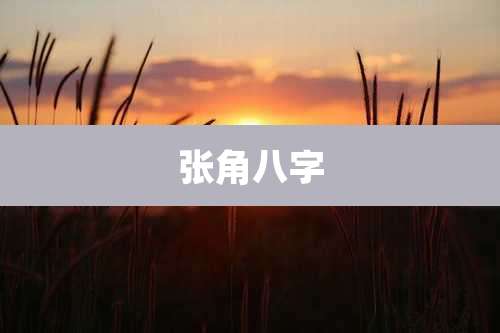 张角八字