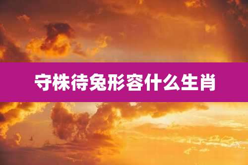 守株待兔形容什么生肖