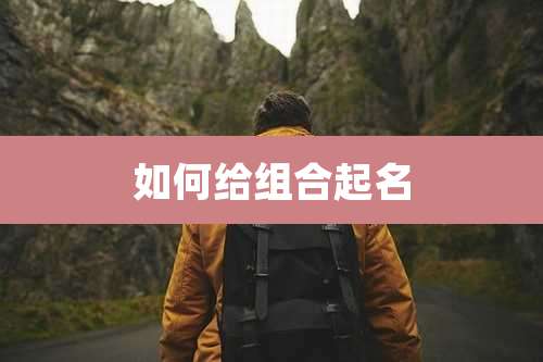 如何给组合起名