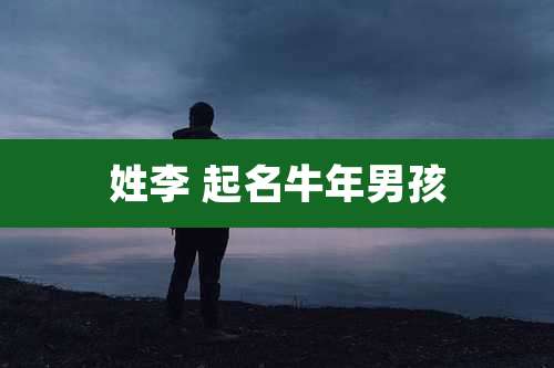 姓李 起名牛年男孩