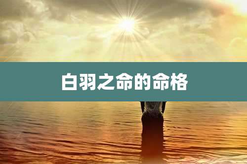 白羽之命的命格