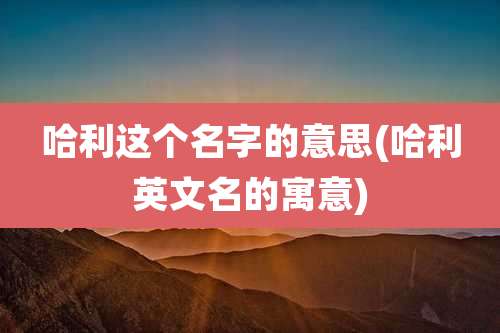 哈利这个名字的意思(哈利英文名的寓意)