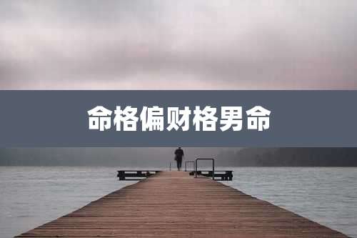 命格偏财格男命