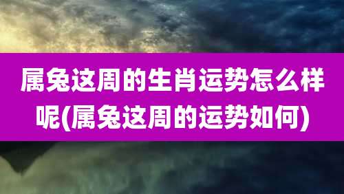 属兔这周的生肖运势怎么样呢(属兔这周的运势如何)